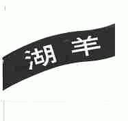 湖羊