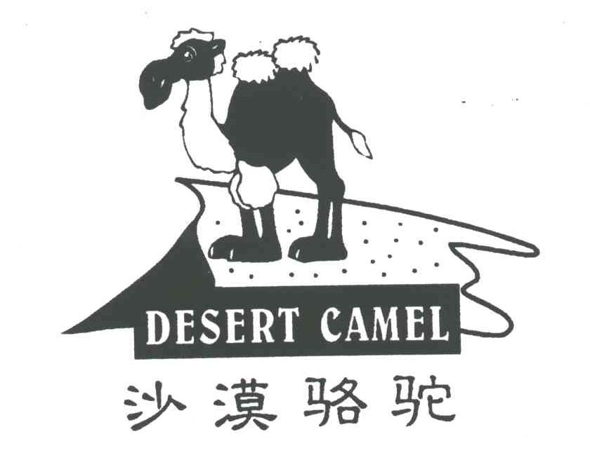 沙漠骆驼;DESERT CAMEL