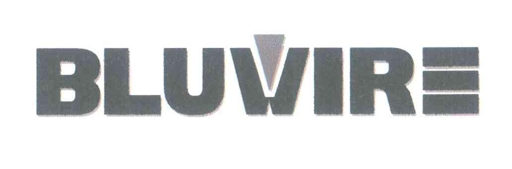 BLUWIEW