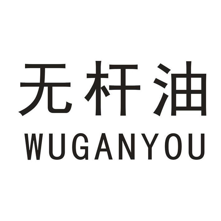 无杆油