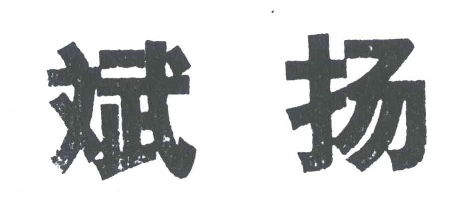 斌扬