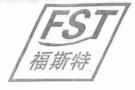 福斯特;FST