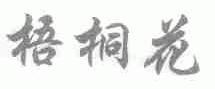 梧桐花