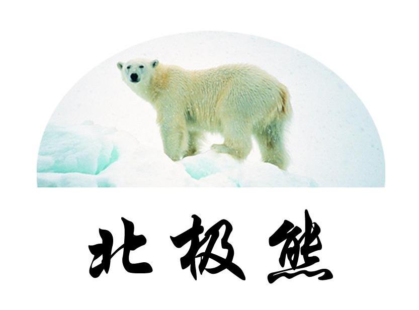 北极熊
