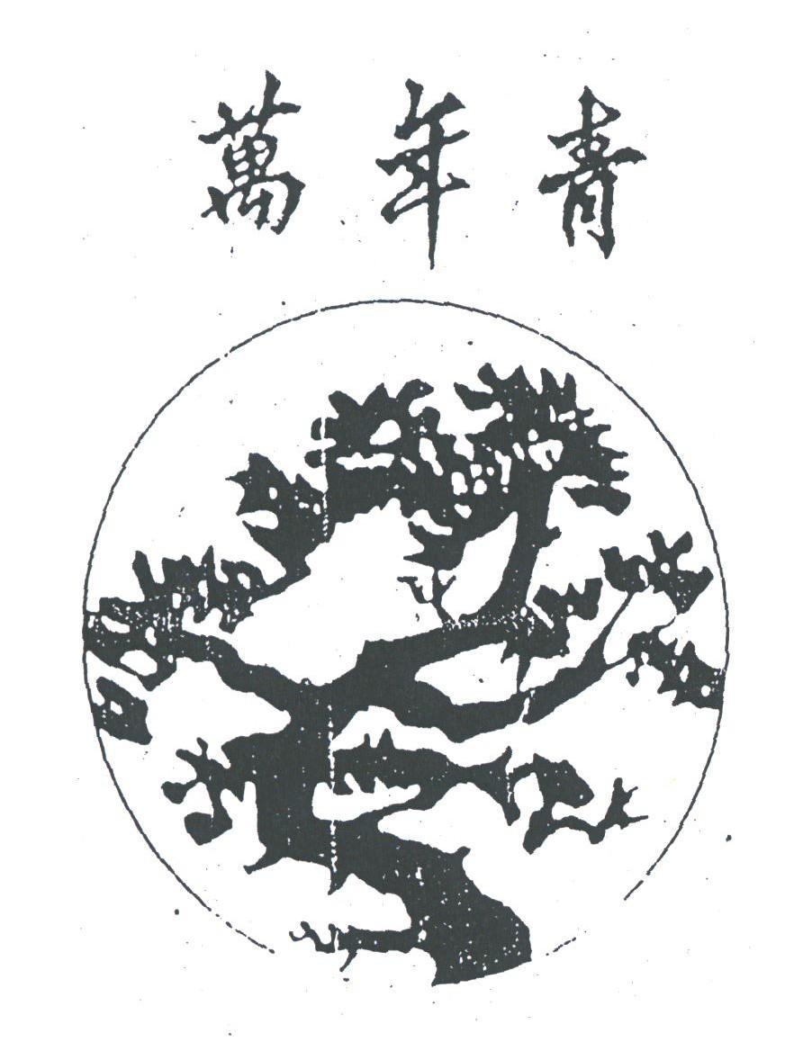 万年青