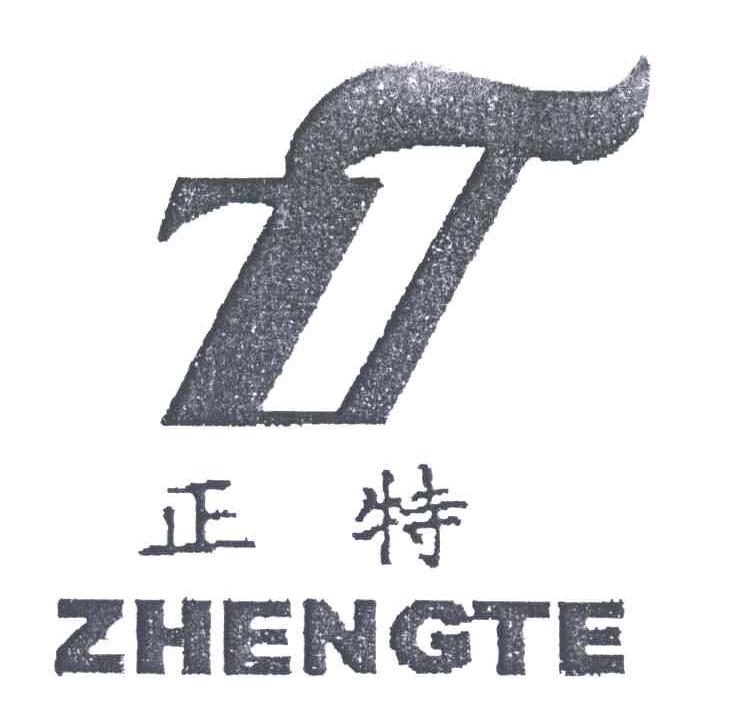 正特