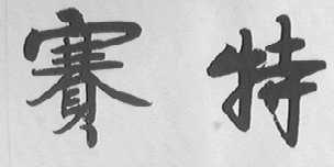 赛特