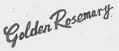 GOLDEN ROSEMARY