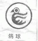 鸽球