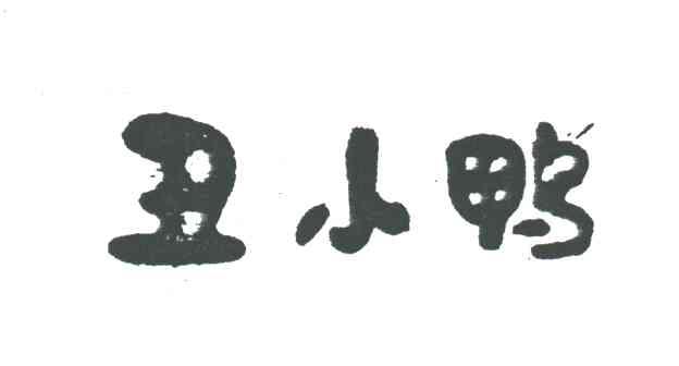 丑小鸭