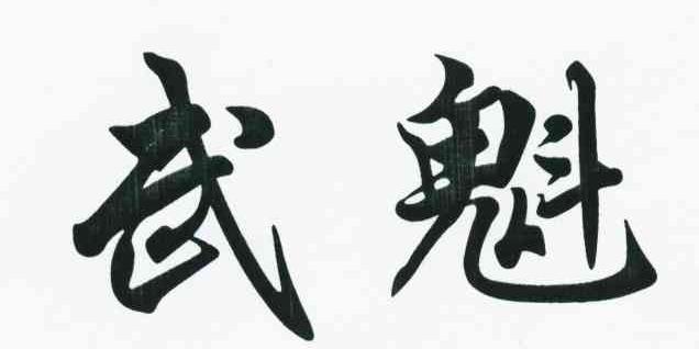 武魁