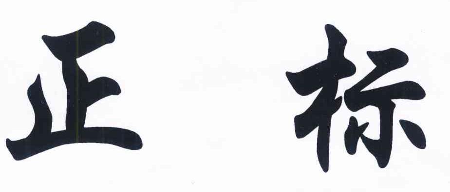正标