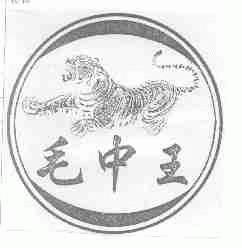 毛中王