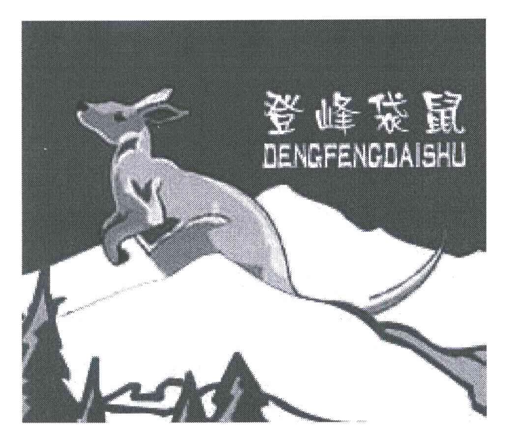 登峰袋鼠