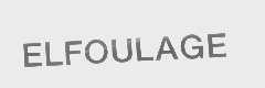 ELFOULAGE