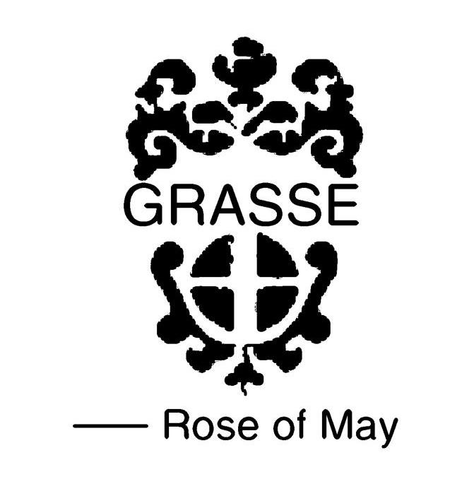 GRASSE ROSE OF MAY
