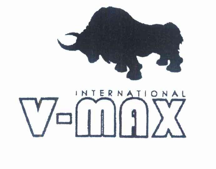 V-MAX INTERNATIONAL