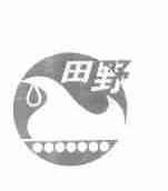田野