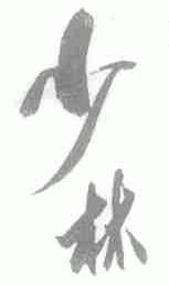 少林