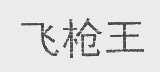 飞枪王