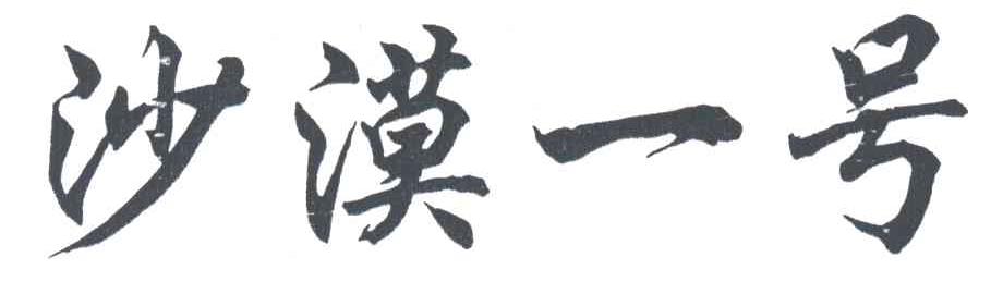 沙漠一号