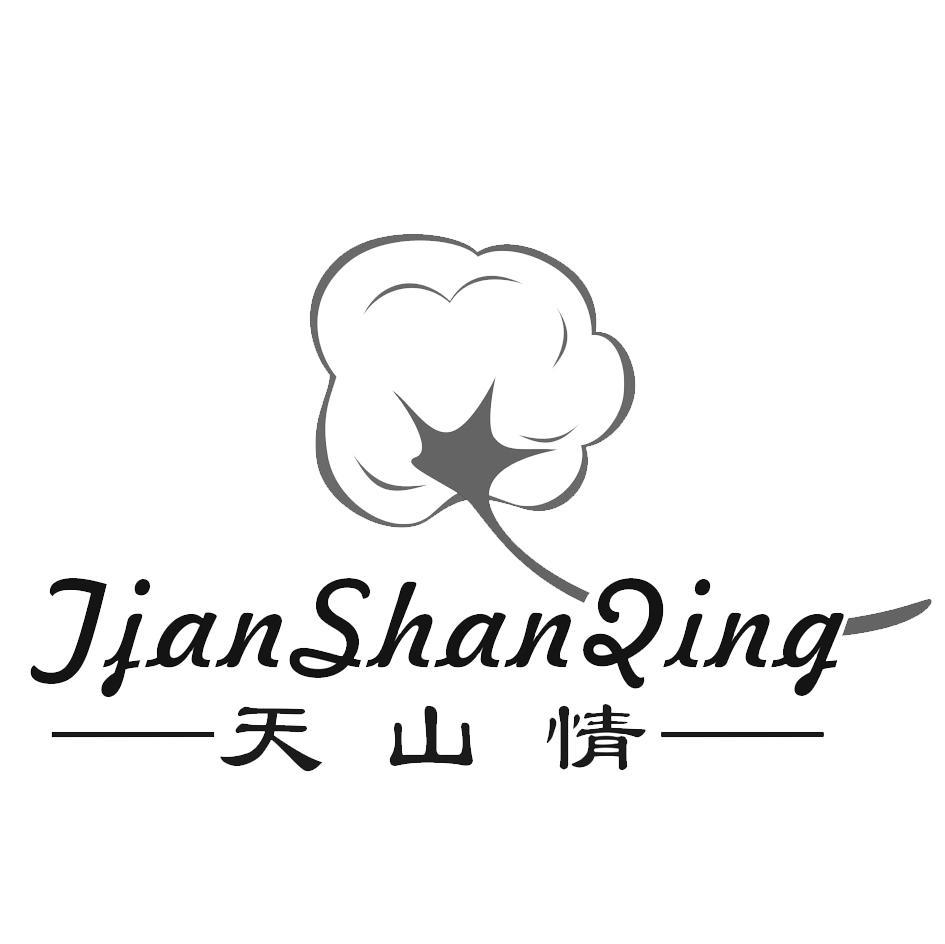 天山情