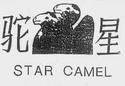 驼星  STAR CAMEL