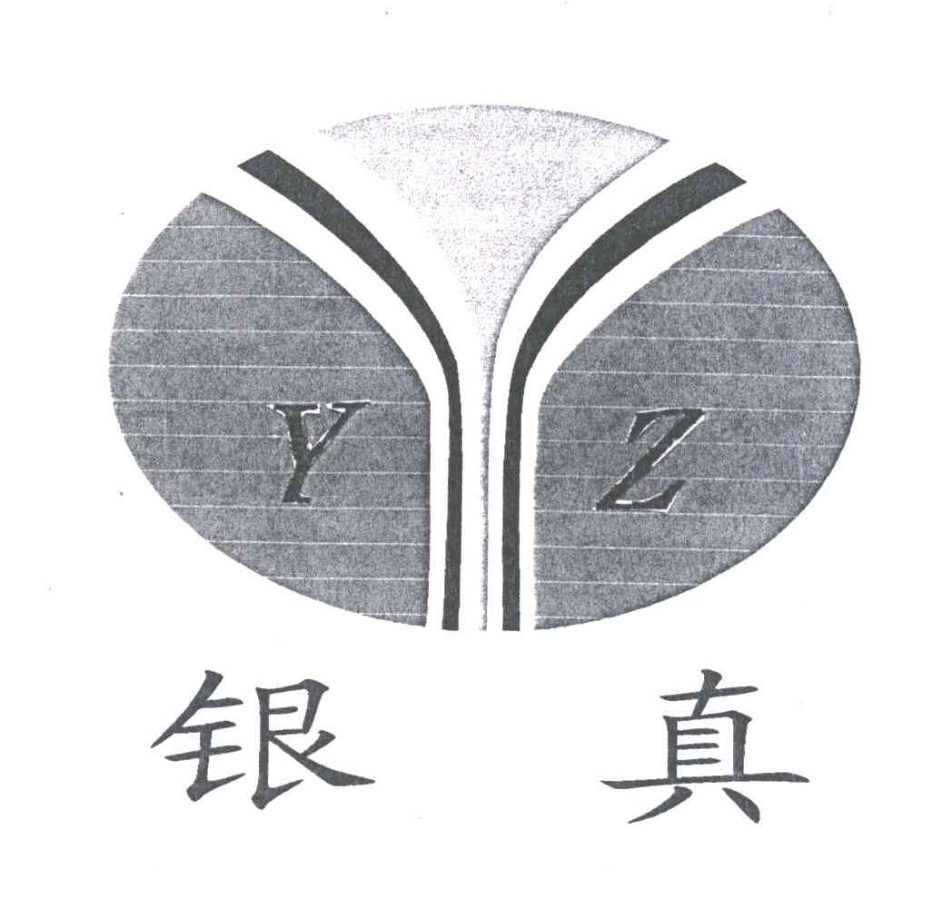 银真;YZ