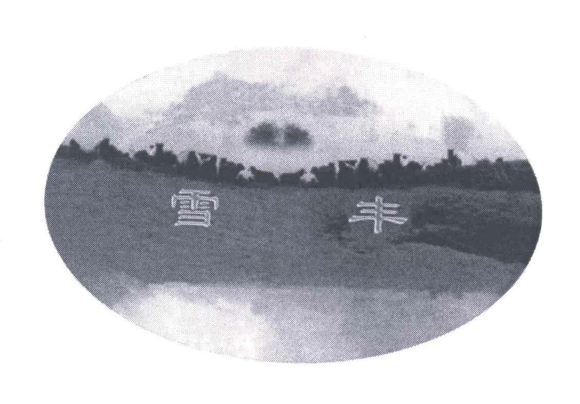 雪丰