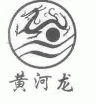黄河龙