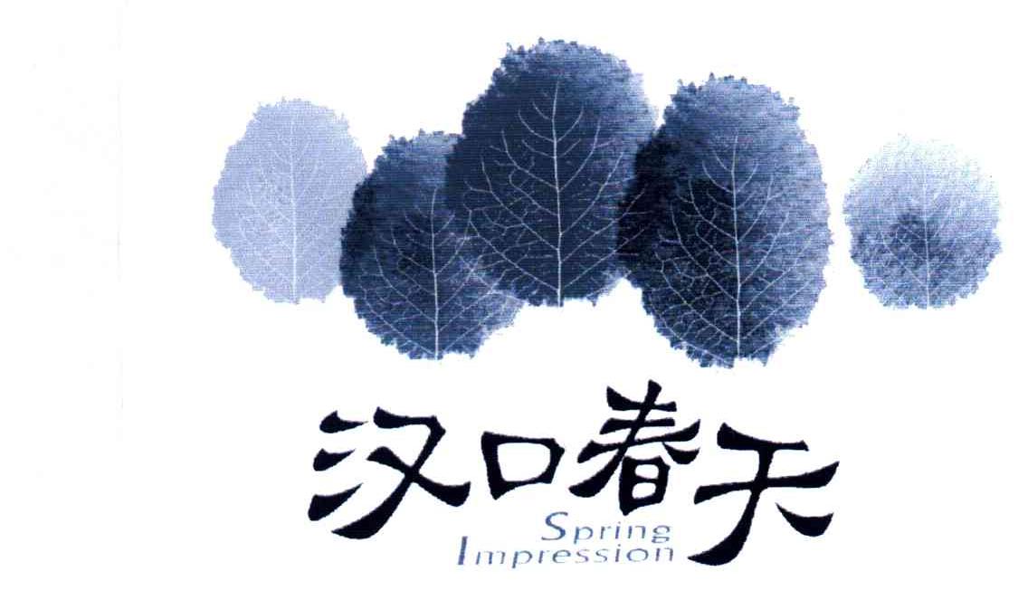 汉口春天;SPRING IMPRESSION