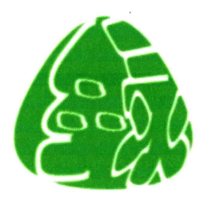 图形