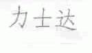 力士达