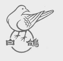 白鸽