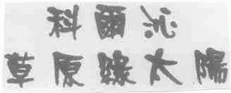 科尔沁草原绿太阳