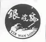 银皖龙