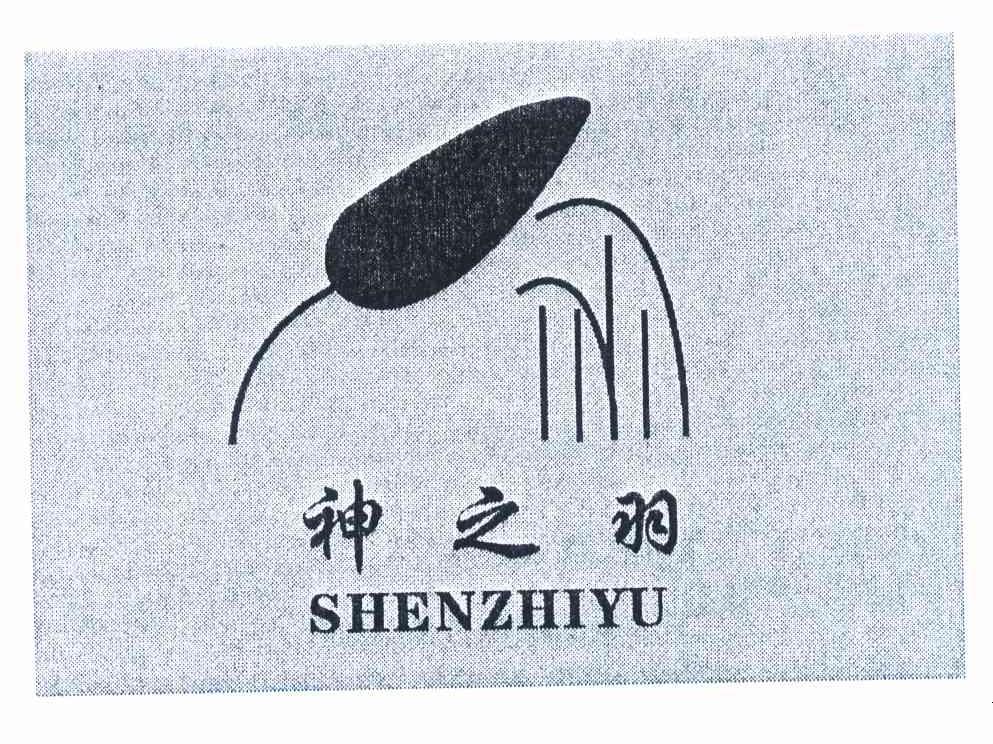 神之羽