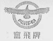 奋飞