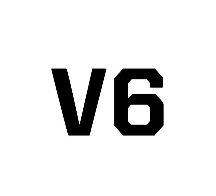 V 6
