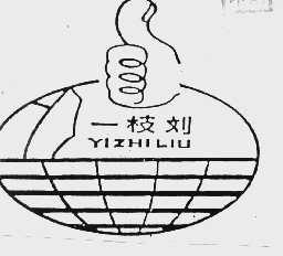 一枝刘