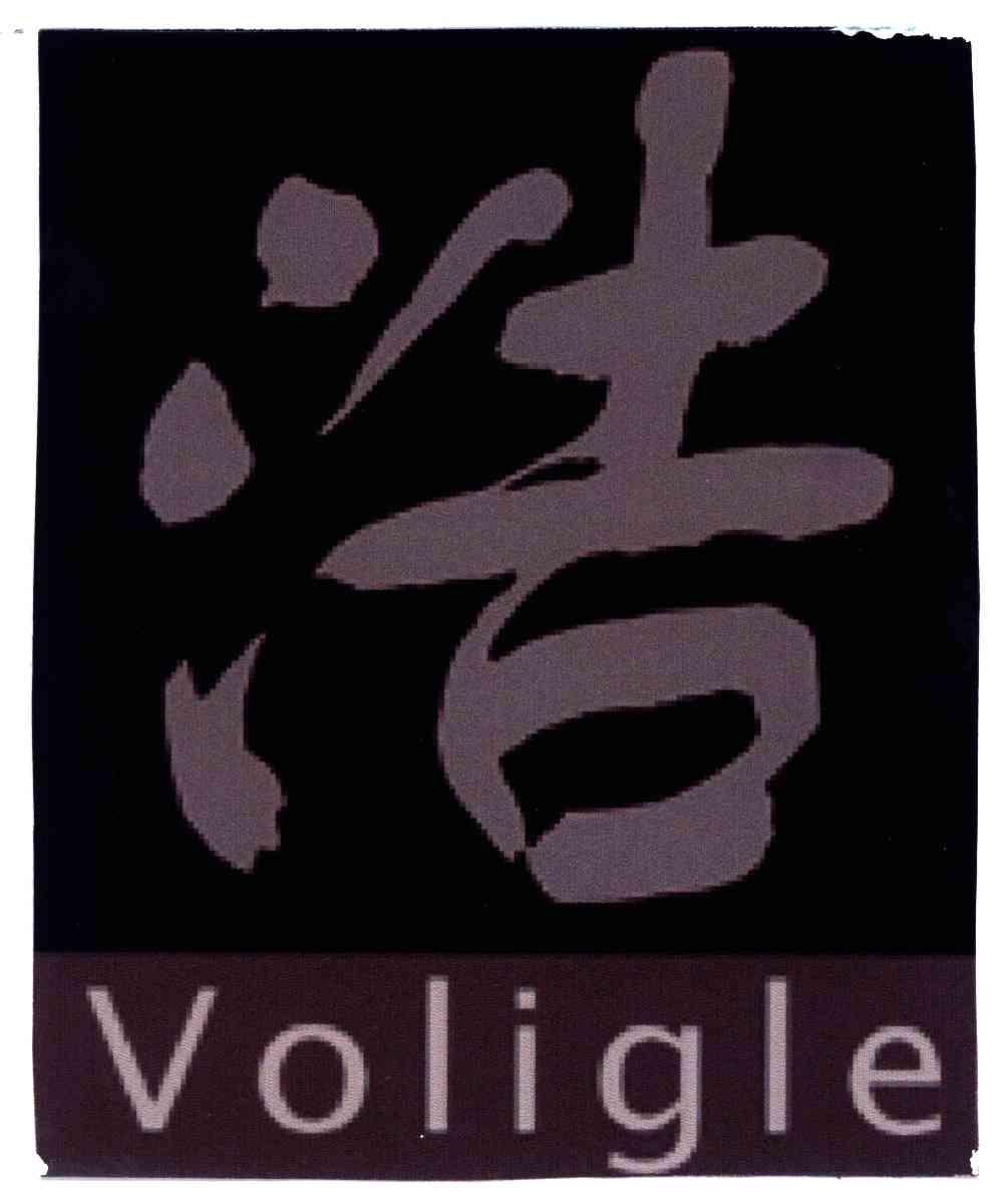 浩;VOLIGLE