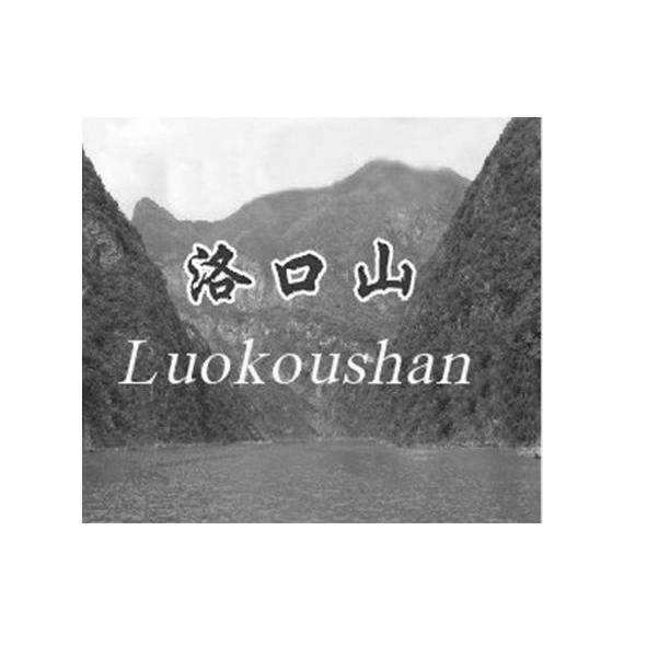 洛口山