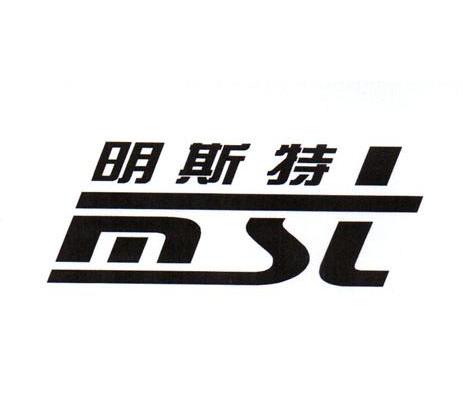 明斯特 MST