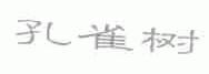 孔雀树