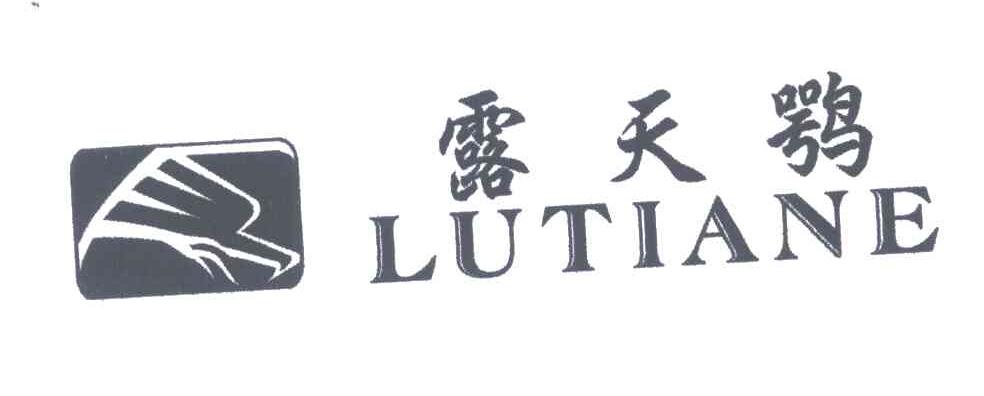 露天鹗