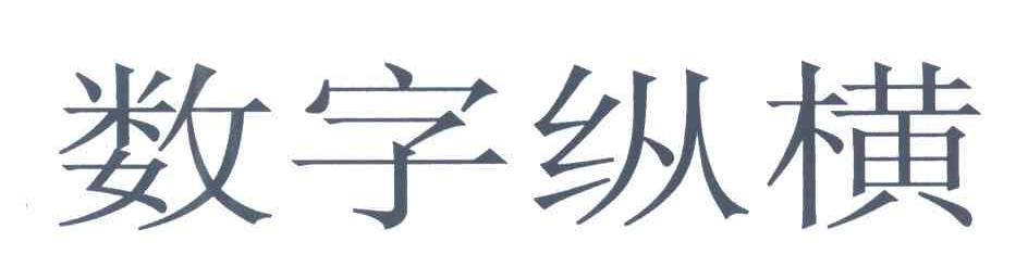 数字纵横