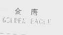 金鹰  GOL EDN EAGLE