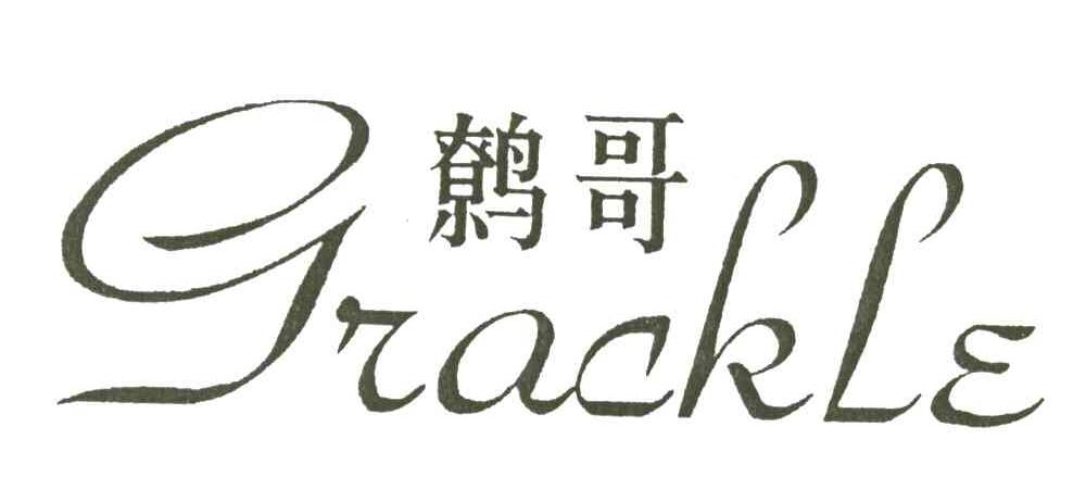 鹩哥 GRACKLE