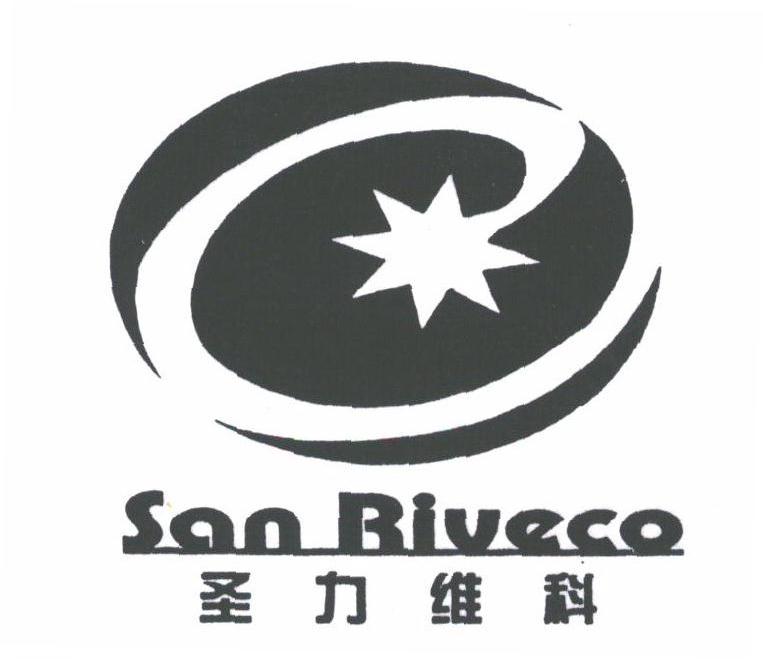 圣力维科;SAN RIVECO