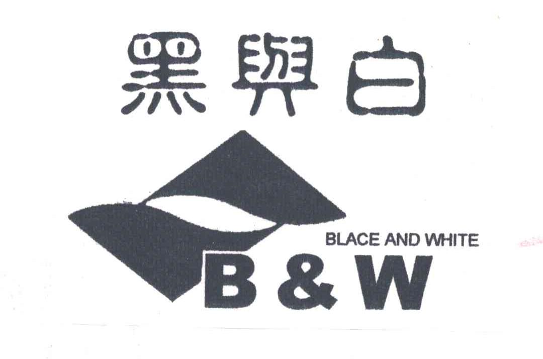 黑与白;B&W;BLACK AND WHITE